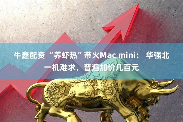 牛鑫配资 “养虾热”带火Mac mini： 华强北一机难求，普遍加价几百元